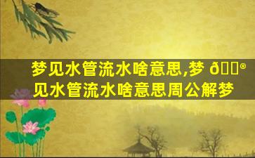 梦见水管流水啥意思,梦 💮 见水管流水啥意思周公解梦